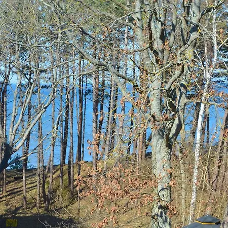 Dwie Sosny 38 - Perla *